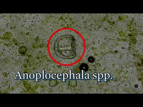 How to do a McMaster