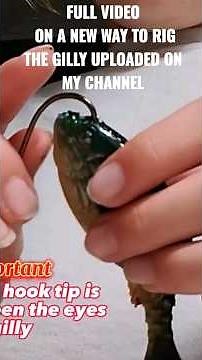 Try this new way to rig the BERKLY GILLY it will swim straight every time#berkly #swimbait #lures