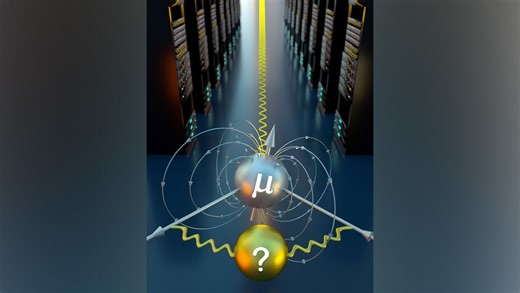 Adelaide Uni scientists lead research to crack decades-old muon mystery