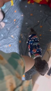 249K views · 10K reactions | Về nhà mới phải ngoan nha Gấu  | Cô Hai Cà Mau | Facebook