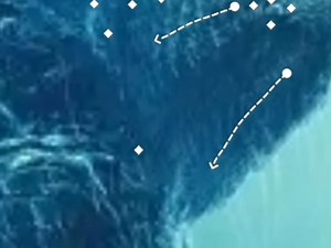 教程来了，自己看