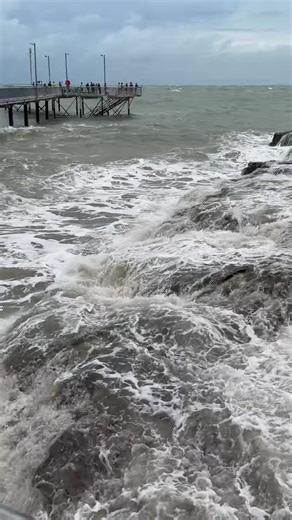 Bit scary, crocs are coming #nt #darwin #sea #scary