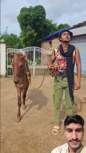 Introducing the "VitaWear SmartBand," a next-generation wearable gadget