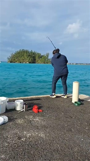 Turbot fish caught #foryou #fishing #catchingfish #youtubeshorts