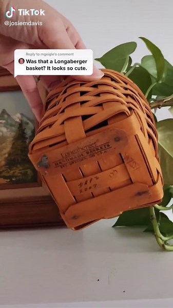 Josie Michelle Davis on TikTok