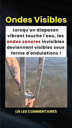 Visualiser les Ondes Sonores avec un Diapason ! 🔊🌊