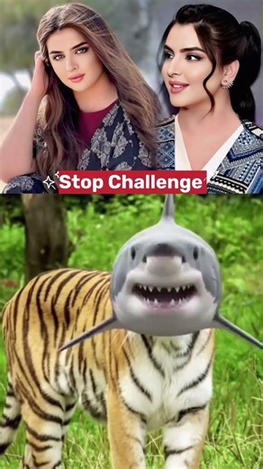 Match the Dove and Cucumber with shadow correctly.😎#fbreelsfyp# #shortvideos #memes #viralvideos