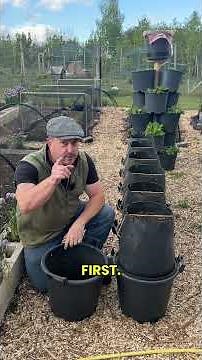 A new way to grow potatoes in containers #selfsufficiency #gardening #growyourown #homesteading