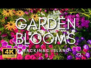 AMAZING Flower Blooms and Peaceful Music | Mackinac Island Flower And Garden Tour 2024