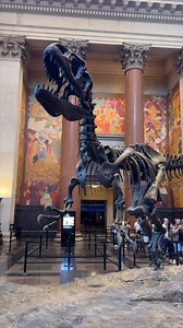 22K views · 457 reactions | Les dinosaures du Musée d'Histoire Naturelle | NewYork - NewYorkCity.fr | Facebook