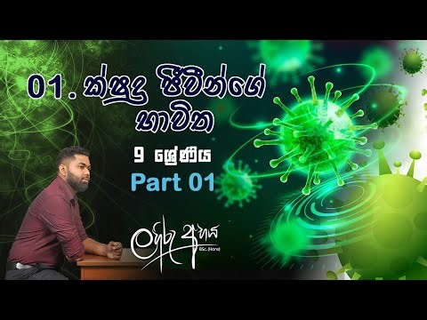 Grade 09 || lesson 01 / part - 01 || 2026.01.03