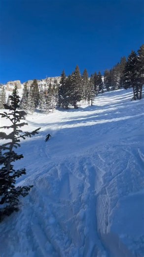 Ross Tester on Instagram: "Last day on hill before Euro time 🤳: @alex.kalange #backpack #gucci #chill #alta #nub"