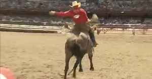 Cheyenne Frontier Days back for 127th year featuring biggest outdoor rodeo, carnival and more