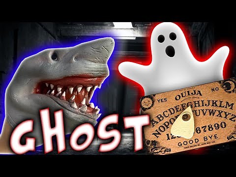 SHARK PUPPETS HOUSE GETS HAUNTED!!!!!