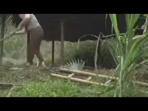 Struggling Single Mother Builds a Bamboo House Alone in the Forest with Her Child