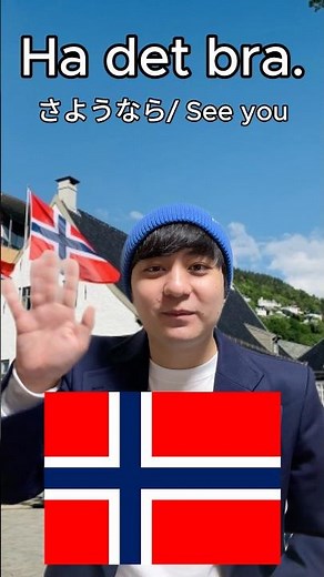 【ノルウェー行くならこの言葉だけは覚えておけ！🇳🇴】 今回はノルウェーに旅行する際に役に立つ基本的な挨拶や用語を紹介！#fyp #fypシ #funny #foryou #norway