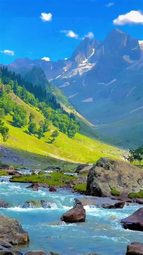 Boost Your Attention Seeking with These Tips