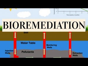 Bioremediation| Overview| Environmental Biotechnology