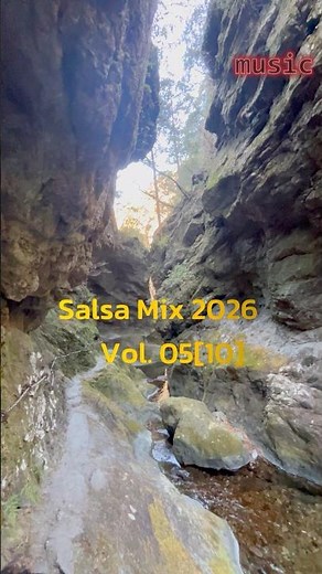 【Salsa Mix 2026】 Salsa con Clase: Elegancia y Sabor ✨ Vol. 05[10] #musica #salsa #latinmusic