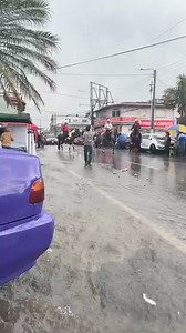 144K views · 3.8K reactions | Que viva la música Disco por siempre lo mejor de lo mejor | COVI DANCE 2020 | Facebook