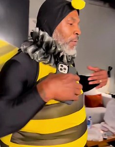 8.5K views · 145 reactions | Mike Tyson dressed as a Bee  | Boxing Exposure | Facebook