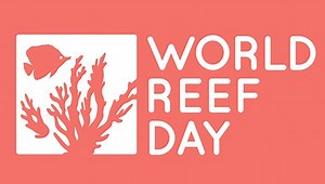 World Reef Day 2019 Launches in Waikīkī | Big Island Now