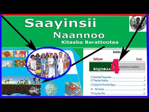 SAAYINSII NAANNOO KITAABA BARATTOOTA KUTAA 3FFAA BOQONNAA 4FFAA