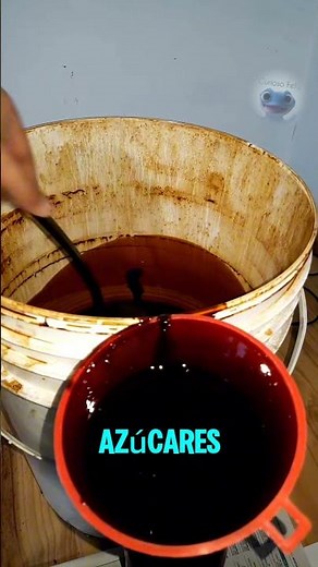 Alimentación para pollos