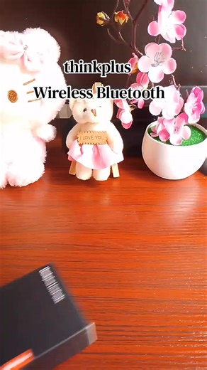 thinkplus Wireless Bluetooth Earbuds Review