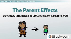 Family Systems Theory | Definition & Examples