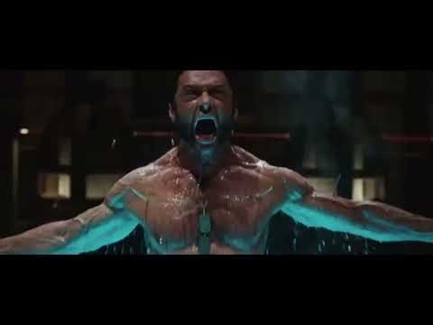 Wolverine Roar Given Up