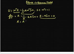 The Black-Litterman Model