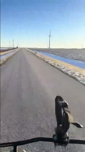 Fastest Dog You’ve Never Heard Of?! Lurcher Runs Like a Cheetah 🐕💨😱