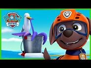 Pups Save Wally the Walrus! 🐋 - PAW Patrol Rescue Episode - Cartoons for Kids!