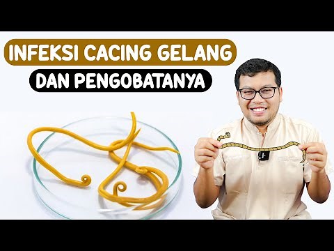 INFEKSI CACING GELANG ATAU ASCARIASIS DAN PENGGOBATANYA - DOKTER SADDAM ISMAIL