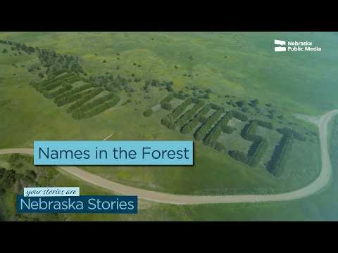 These Trees Spell Out A Legacy | Nebraska Stories