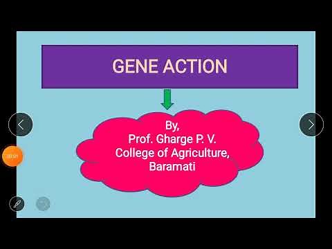 Lecture No. 8 - Gene action