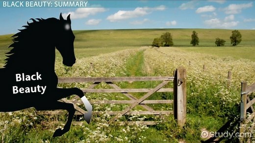 Black Beauty by Anna Sewell | Summary, Characters & Impact