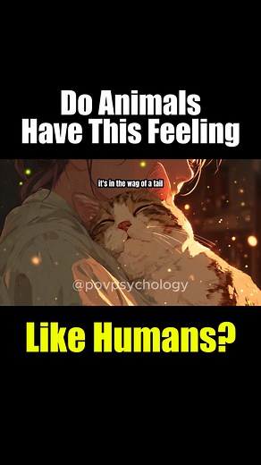 Do animals feel love, grief, and jealousy like humans?  full video:...