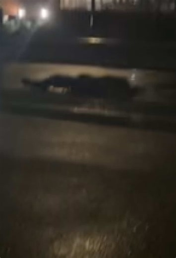 Navigating Drunk Encounters: Apologies and Insights