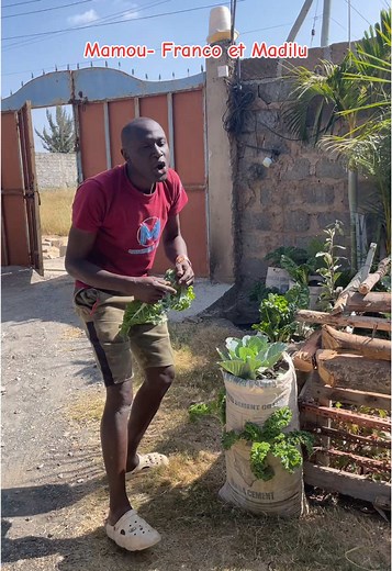 Exploring Congo's Musical Heritage with Mamou - Franco & Madilu