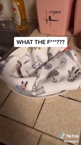 Terrifying Bug Encounter at Night: Overcoming Fear