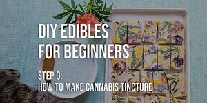 How to Make a Cannabis Tincture