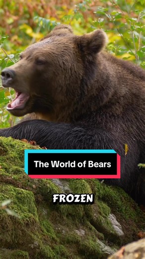 Bears: The Powerful Giants of the Wild