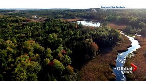 Experts say ecological angle needs to be considered when trying to protect Chignecto Isthmus
