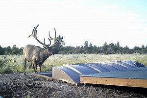 As water continues to grow scarce, we're working hard to ensure there's water for wildlife. In 2019, the Book Cliffs Working Group was formed to help identify issues and improvement possibilities that address range and wildlife conditions. One of these improvements included more installation of wildlife guzzlers. Check out the latest guzzler install in the Book Cliffs roadless area! | Utah Division of Wildlife Resources
