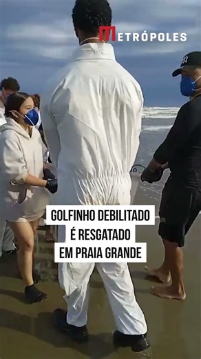 Golfinho debilitado é resgatado após aparecer na areia em Praia Grande