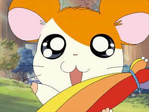 ハムちゃんずと虹の国の王子さま 〜せかいでいちばんのたからもの〜 - シーズン1 - ハムちゃんずと虹の国の王子さま 〜せかいでいちばんのたからもの〜 (アニメ) | 無料動画・見逃し配信を見るなら | ABEMA