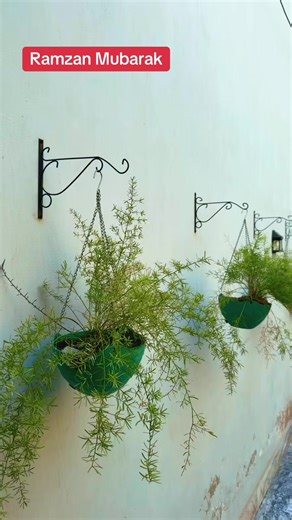 Celebrating Ramzan Mubarak: A Call for Unity