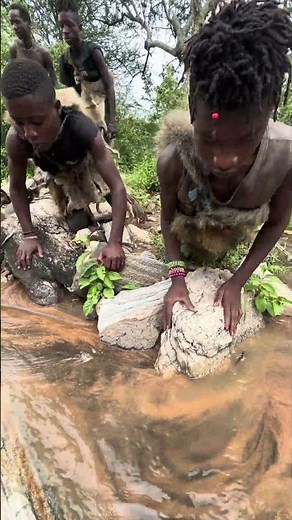 Hadzabe Tribe bushmen get everything they need from nature 🥰